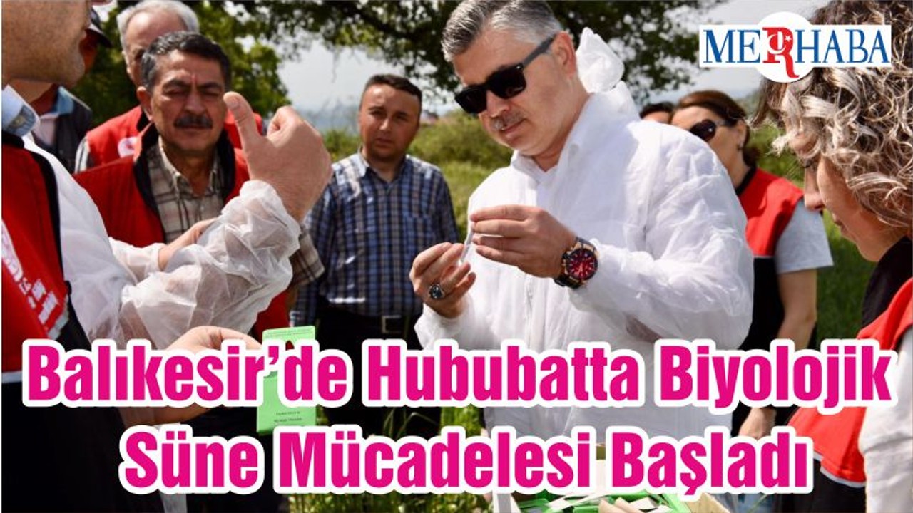 Balıkesir’de Hububatta Biyolojik Süne Mücadelesi Başladı