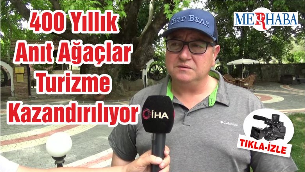 400 Yıllık Anıt Ağaçlar Turizme Kazandırılıyor