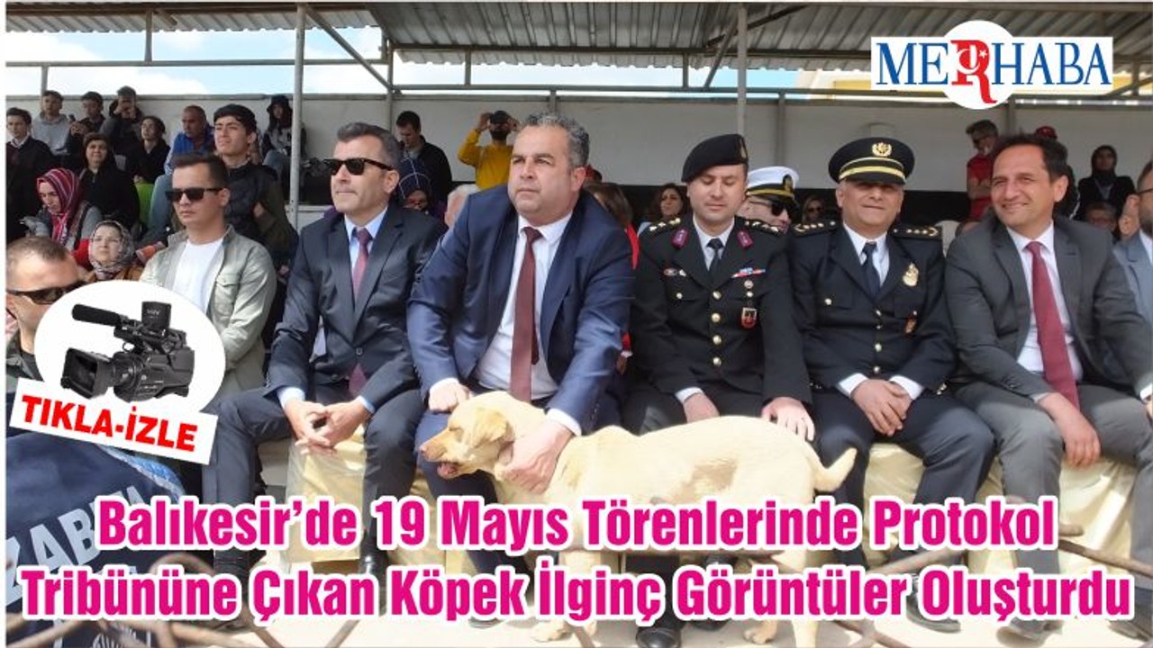 Balıkesir’de 19 Mayıs Törenlerinde Protokol Tribününe Çıkan Köpek İlginç Görüntüler Oluşturdu