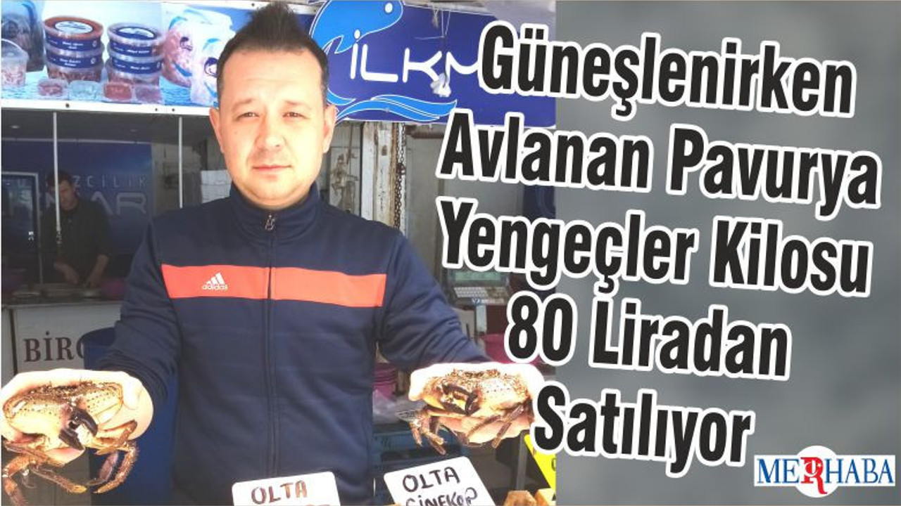 Güneşlenirken Avlanan Pavurya Yengeçler Kilosu 80 Liradan Satılıyor