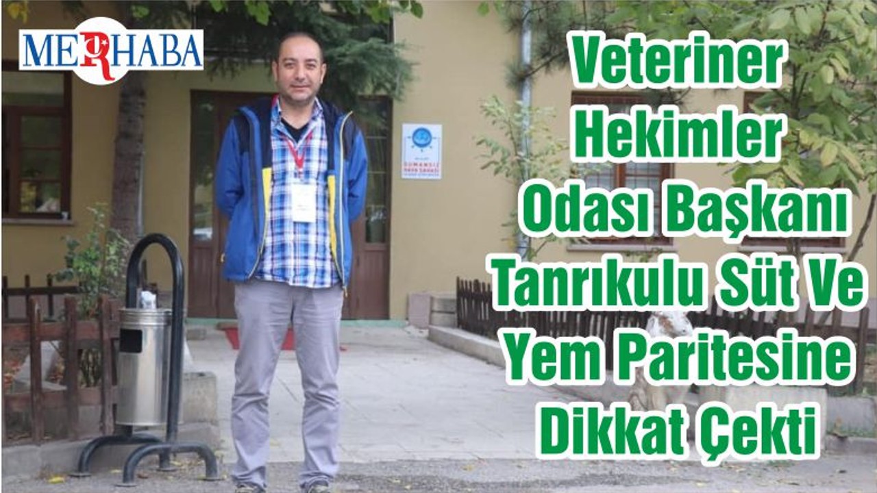 Veteriner Hekimler Odası Başkanı Tanrıkulu Süt Ve Yem Paritesine Dikkat Çekti