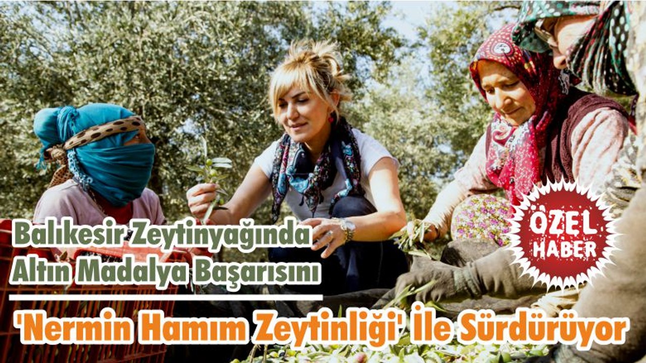 Balıkesir Zeytinyağında Altın Madalya Başarısını 'Nermin Hamım Zeytinliği' İle Sürdürüyor