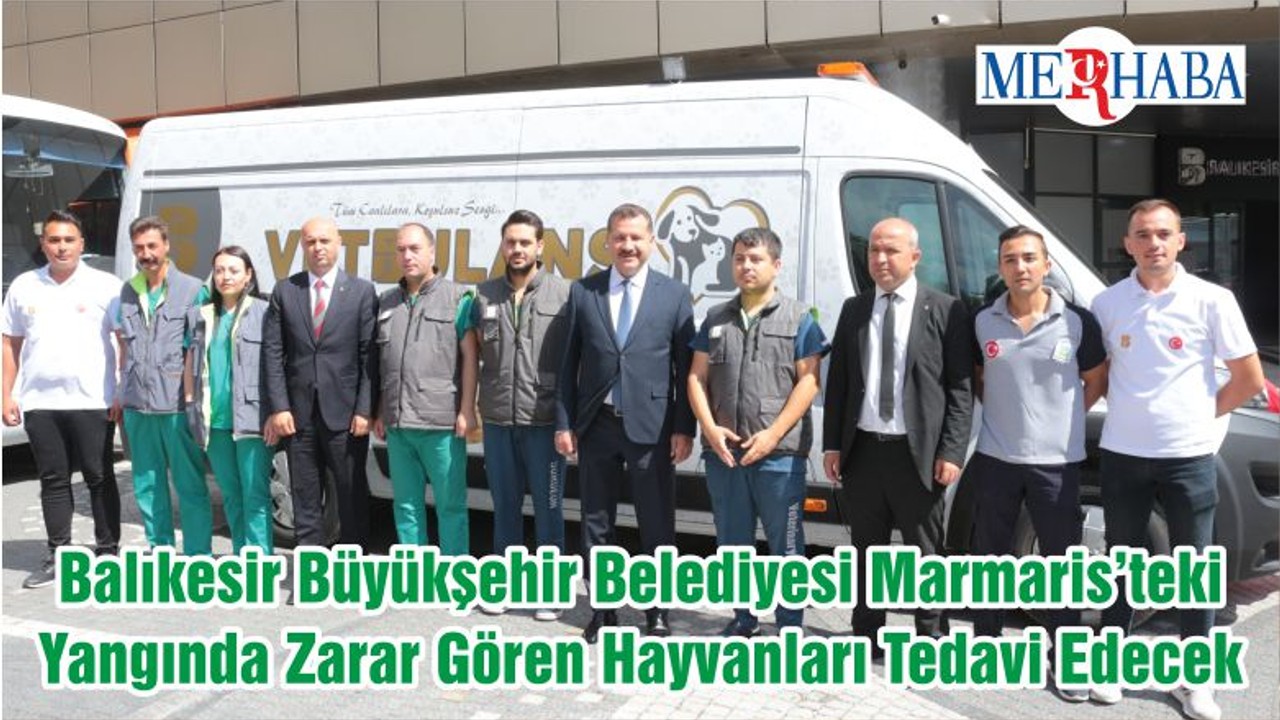 Balıkesir Büyükşehir Belediyesi Marmaris’teki Yangında Zarar Gören Hayvanları Tedavi Edecek