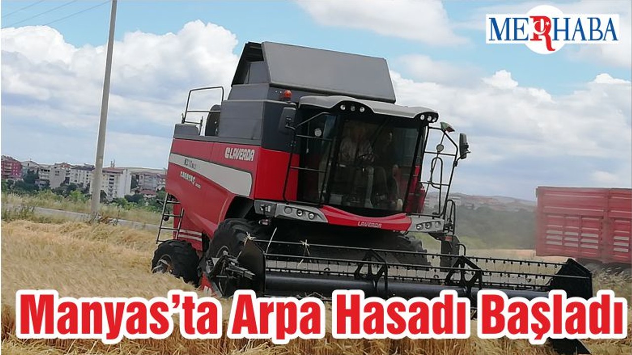 Manyas’ta Arpa Hasadı Başladı