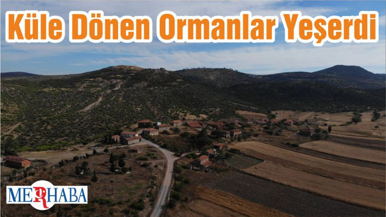 Küle Dönen Ormanlar Yeşerdi