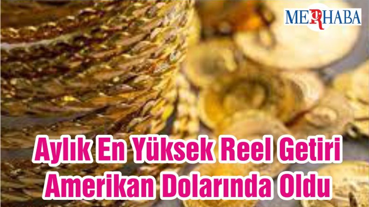 Aylık En Yüksek Reel Getiri Amerikan Dolarında Oldu