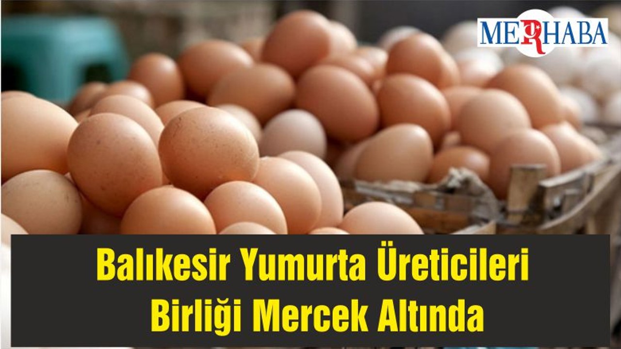 Balıkesir Yumurta Üreticileri Birliği Mercek Altında