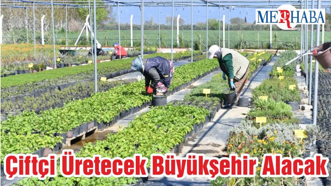 Çiftçi Üretecek Büyükşehir Alacak