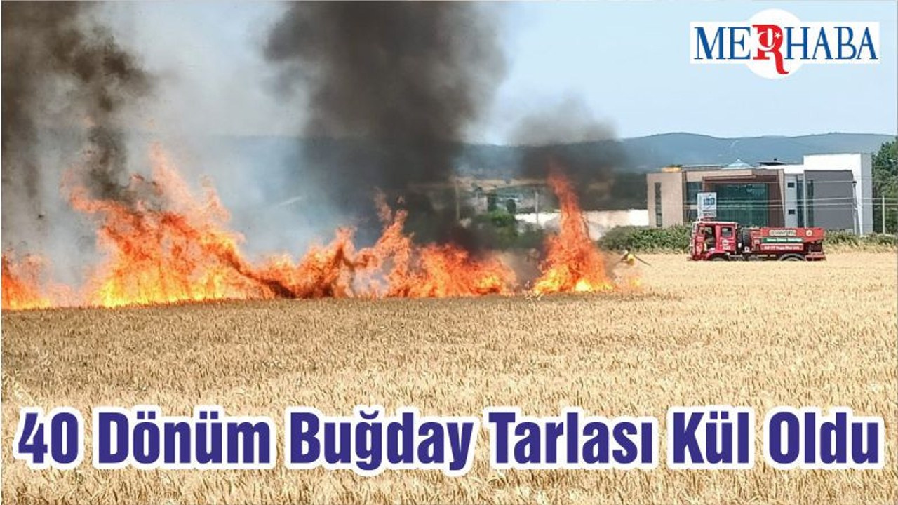 40 Dönüm Buğday Tarlası Kül Oldu