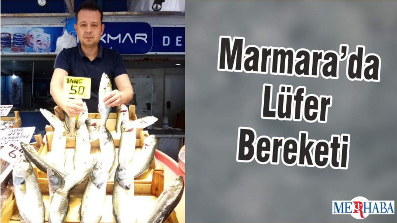Marmara’da Lüfer Bereketi