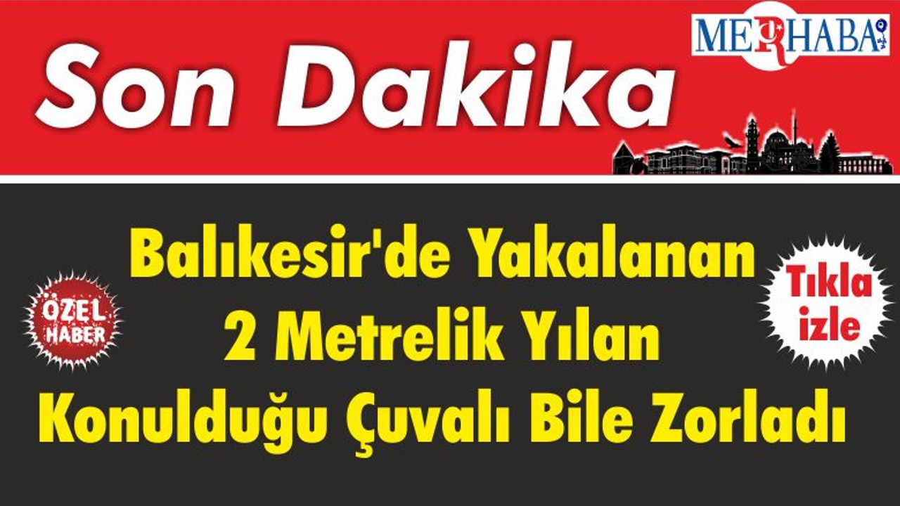 Balıkesir'de Yakalanan 2 Metrelik Yılan Konulduğu Çuvalı Bile Zorladı