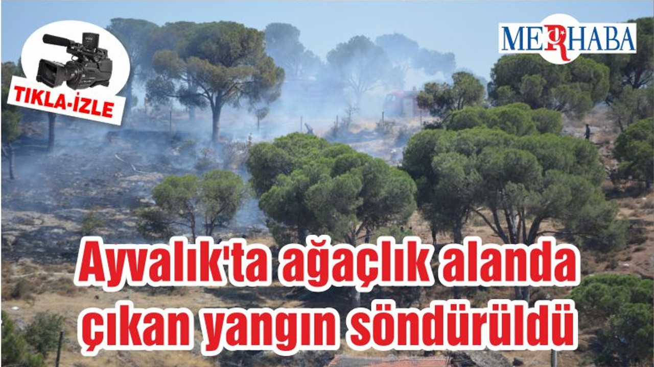 Ayvalık'ta ağaçlık alanda çıkan yangın söndürüldü