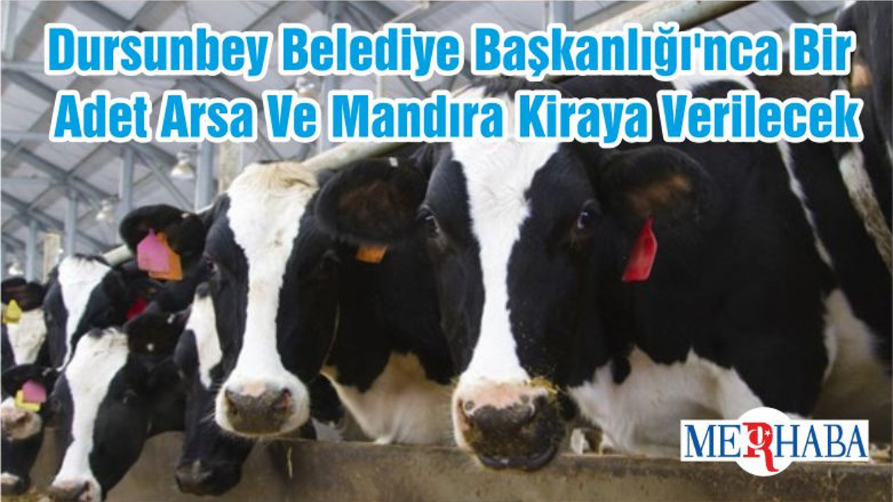 Dursunbey Belediye Başkanlığı'nca Bir Adet Arsa Ve Mandıra Kiraya Verilecek