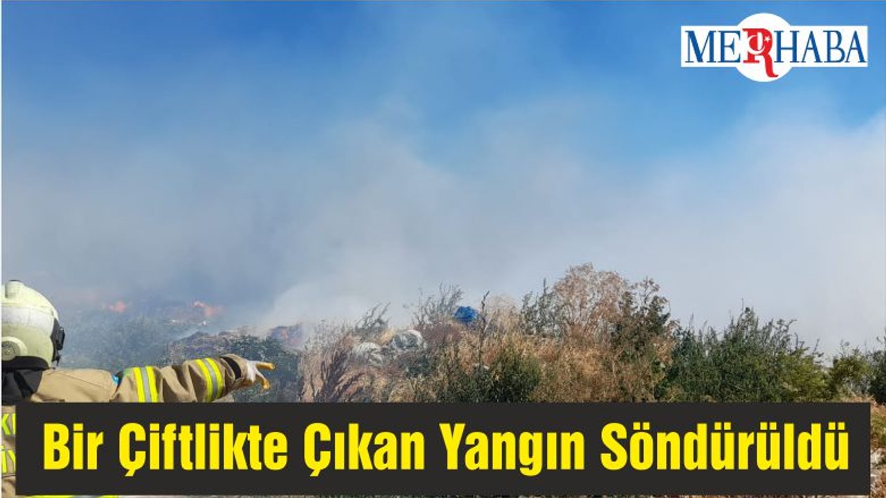 Bandırma'da Bir Çiftlikte Çıkan Yangın Söndürüldü