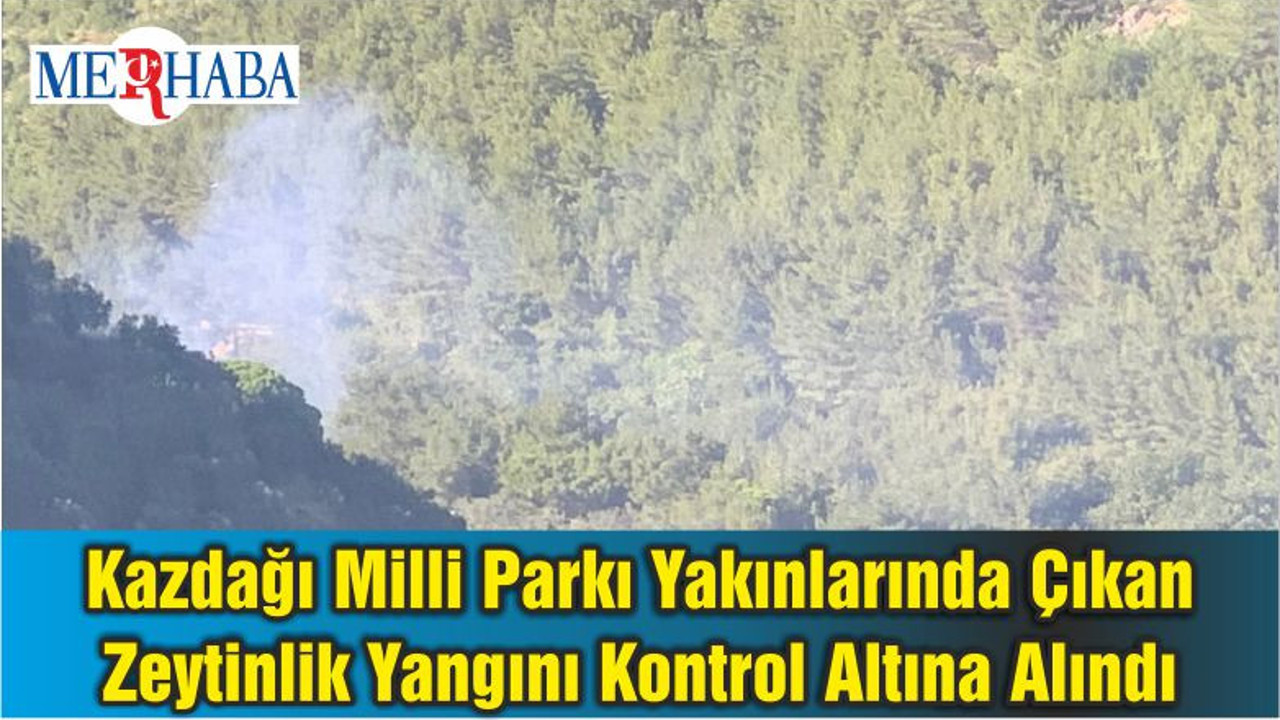 Kazdağı Milli Parkı Yakınlarında Çıkan Zeytinlik Yangını Kontrol Altına Alındı