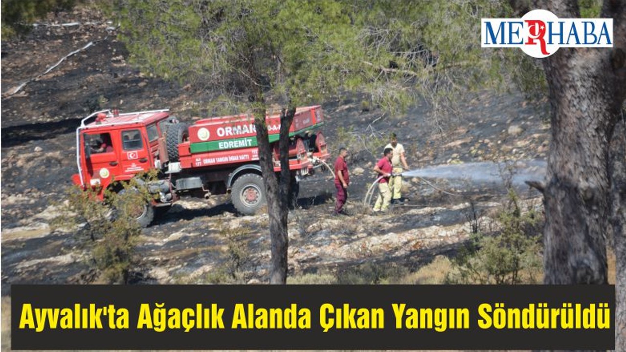 Ayvalık'ta Ağaçlık Alanda Çıkan Yangın Söndürüldü