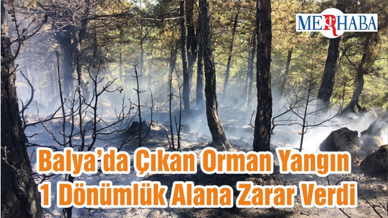 Balya’da Çıkan Orman Yangın 1 Dönümlük Alana Zarar Verdi