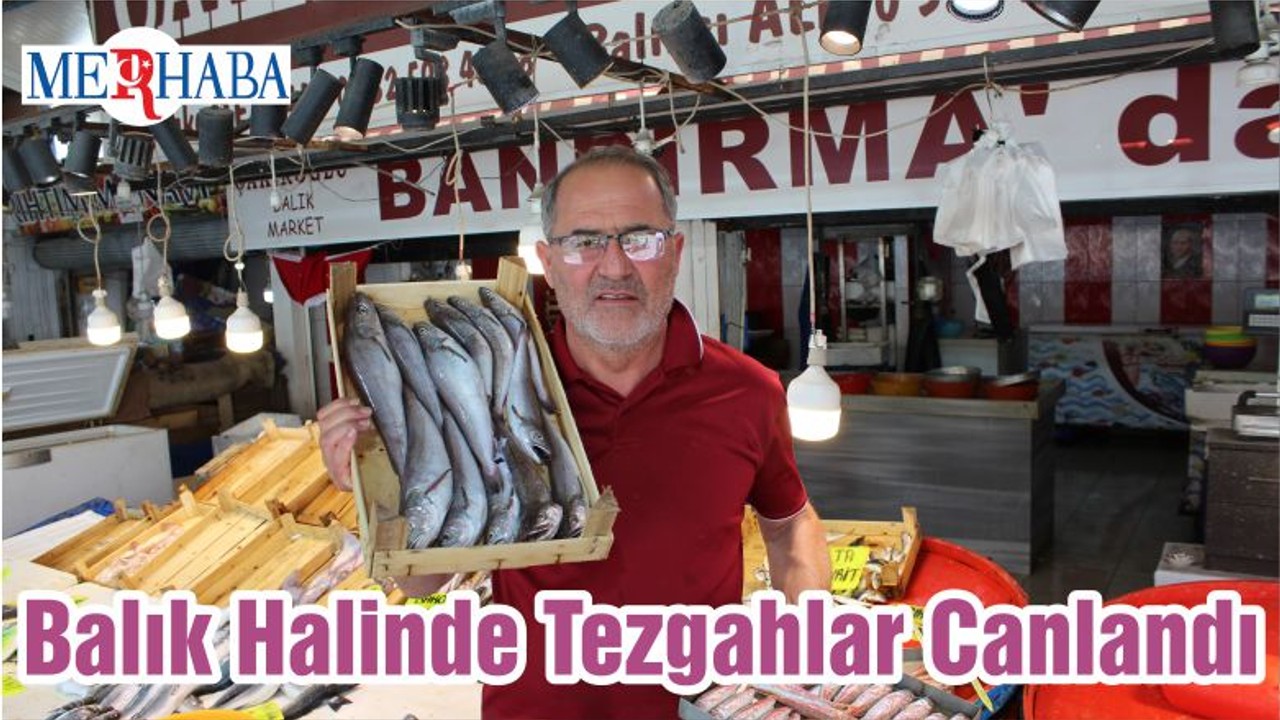 Bandırma Balık Halinde Tezgahlar Canlandı