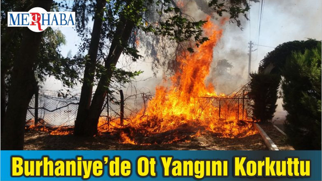 Burhaniye’de Ot Yangını Korkuttu