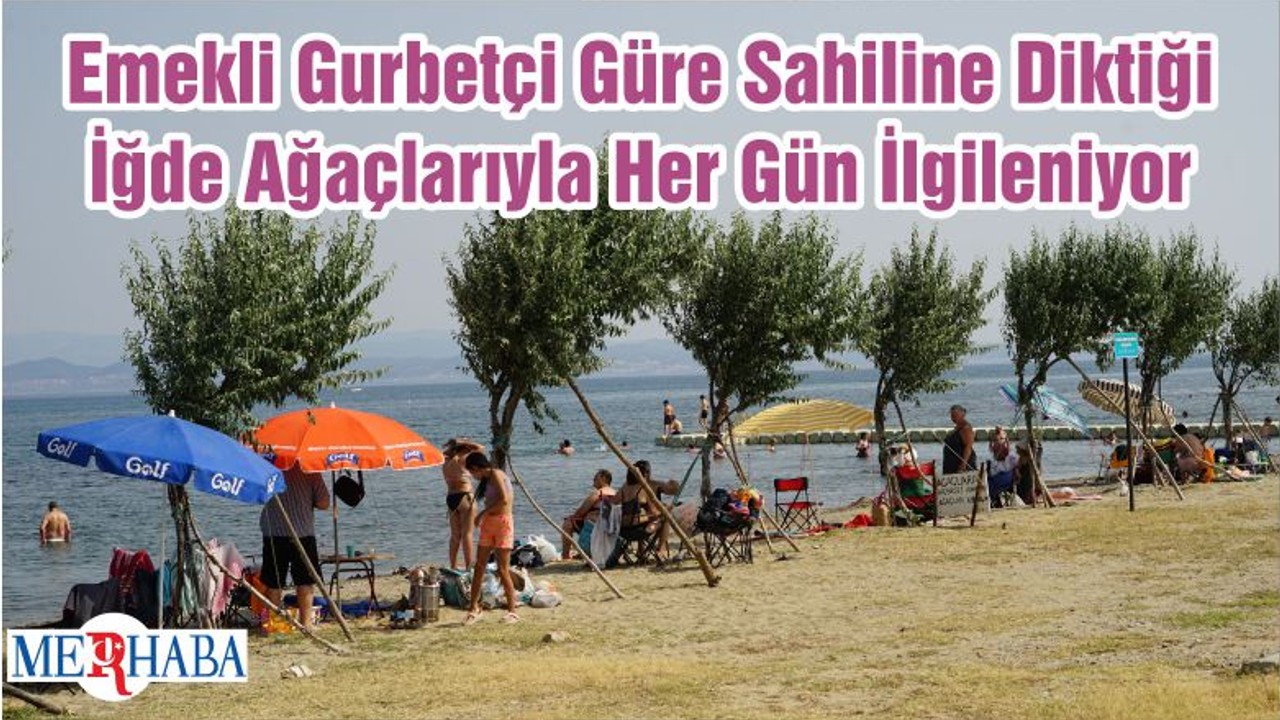 Emekli Gurbetçi Güre Sahiline Diktiği İğde Ağaçlarıyla Her Gün İlgileniyor