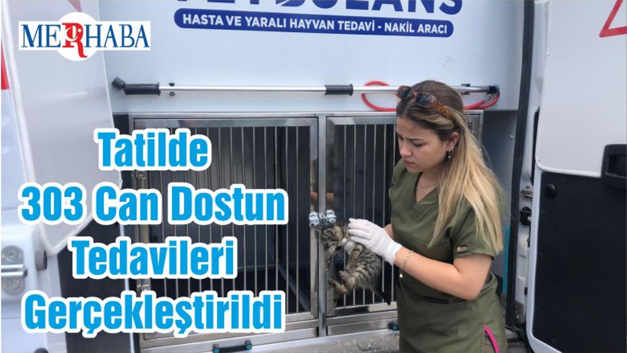 Tatilde 303 Can Dostun Tedavileri Gerçekleştirildi