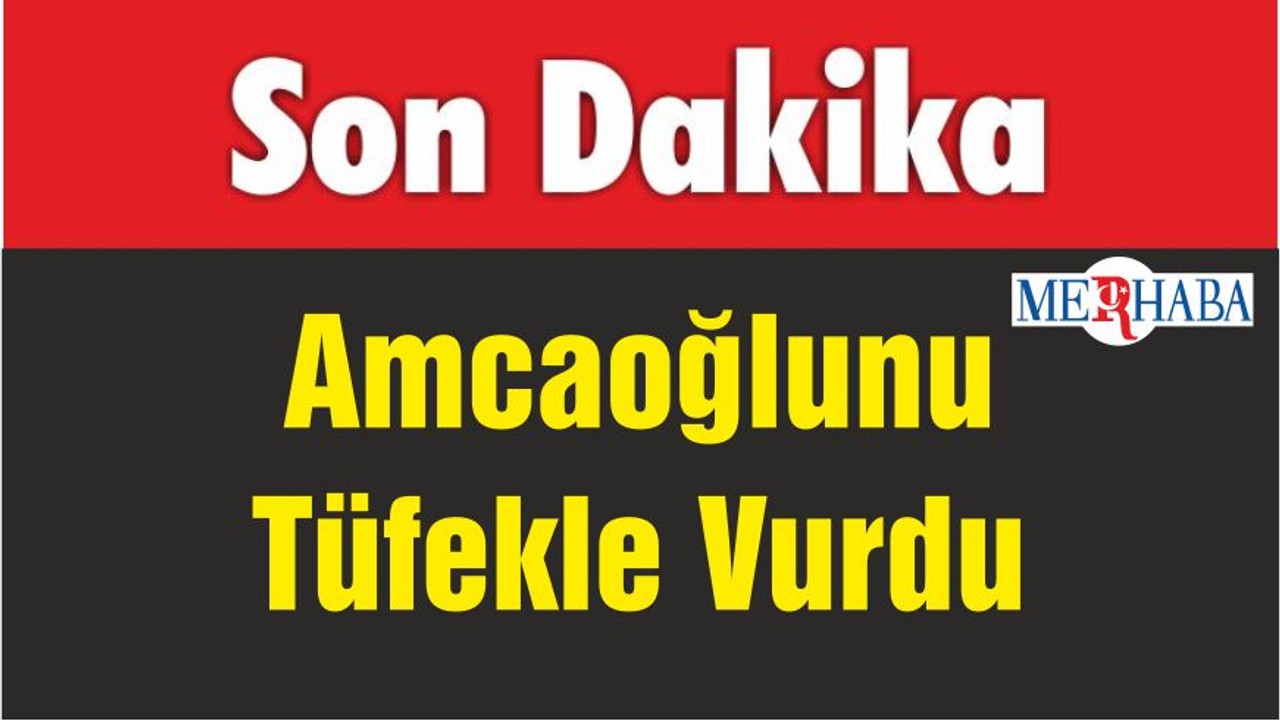 Amcaoğlunu Tüfekle Vurdu