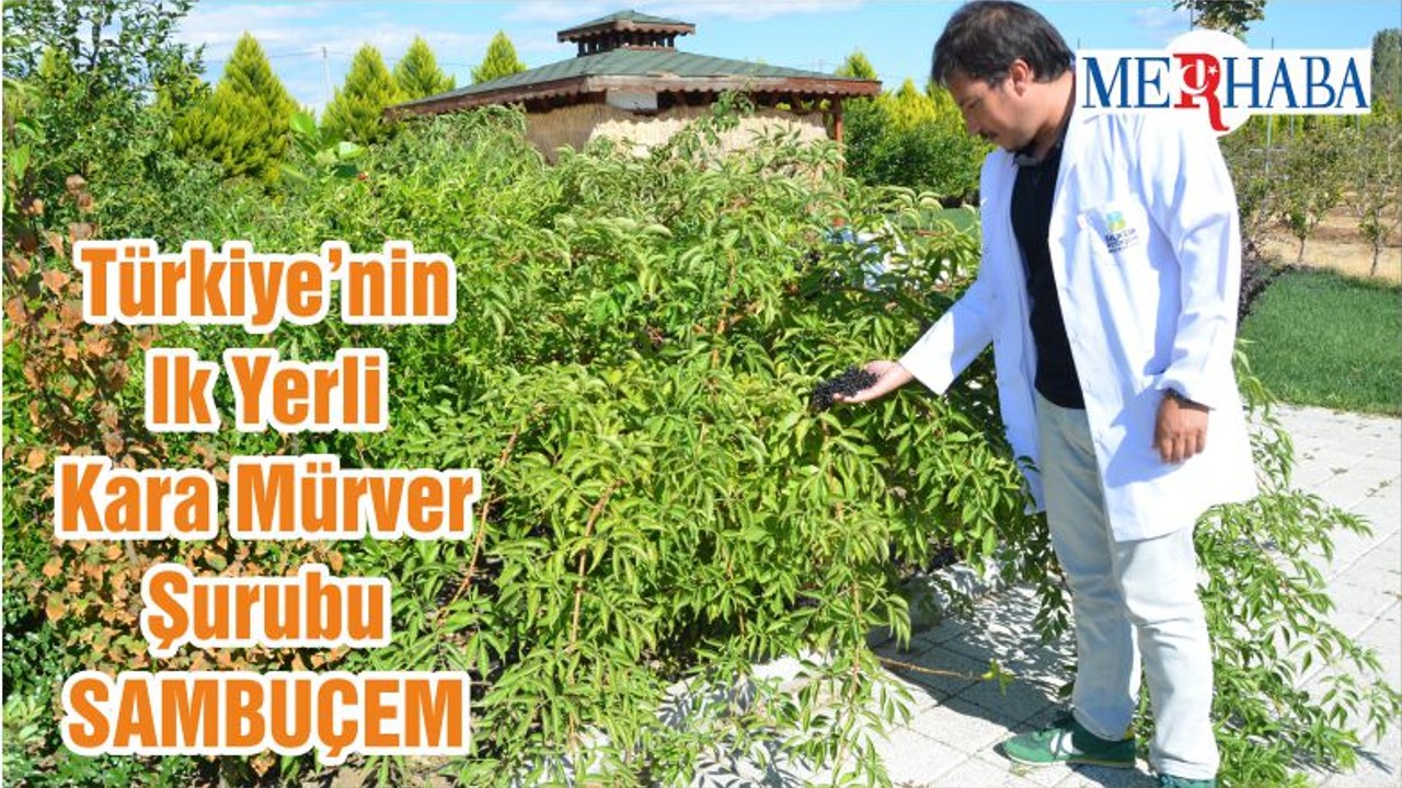 Türkiye’nin İlk Yerli Kara Mürver Şurubu SAMBUÇEM