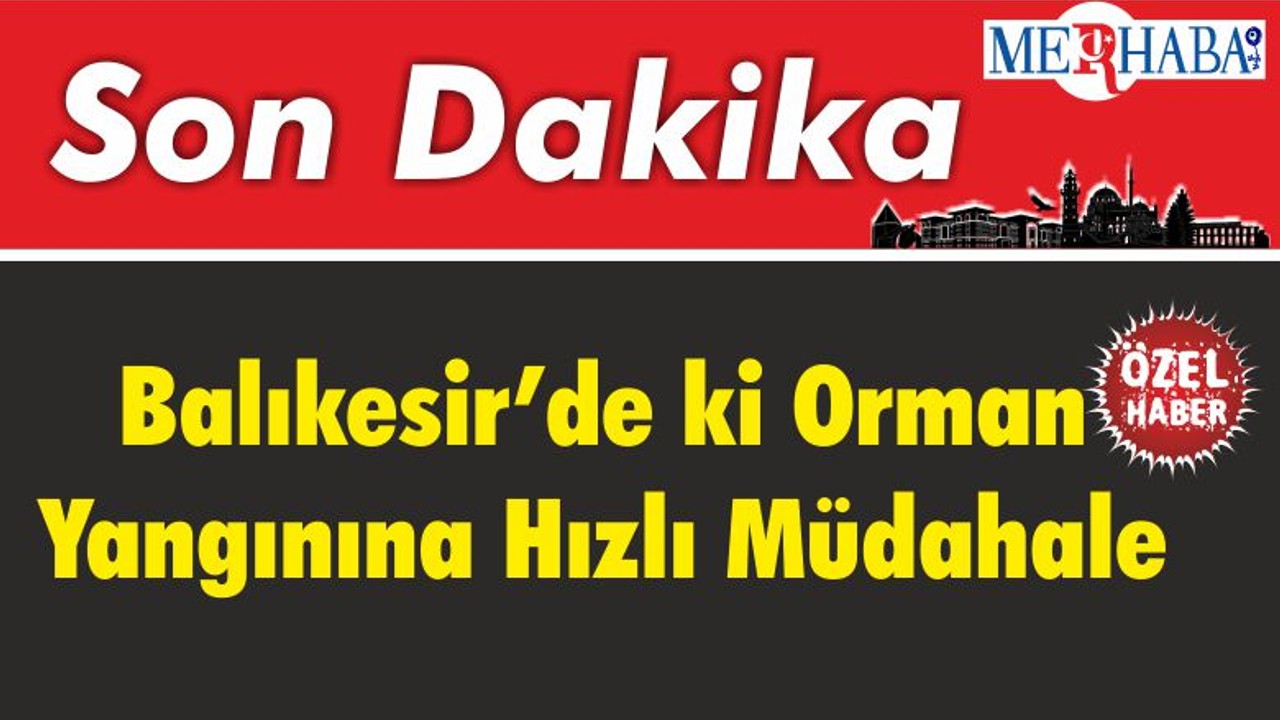 Balıkesir’de ki Orman Yangınına Hızlı Müdahale