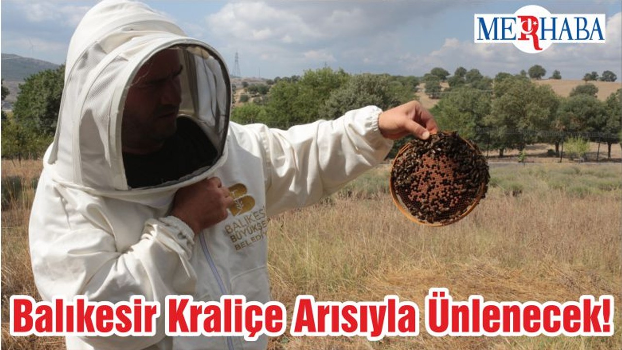 Balıkesir Kraliçe Arısıyla Ünlenecek!