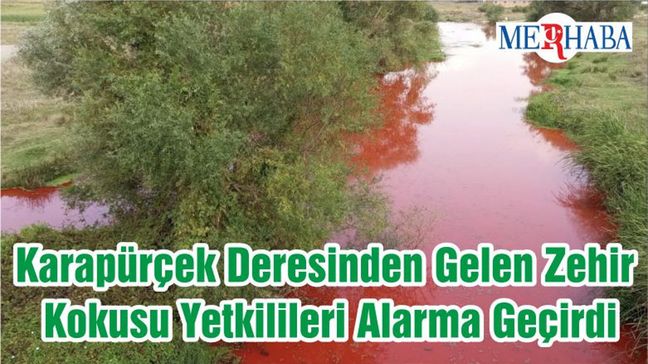 Karapürçek Deresinden Gelen Zehir Kokusu Yetkilileri Alarma Geçirdi