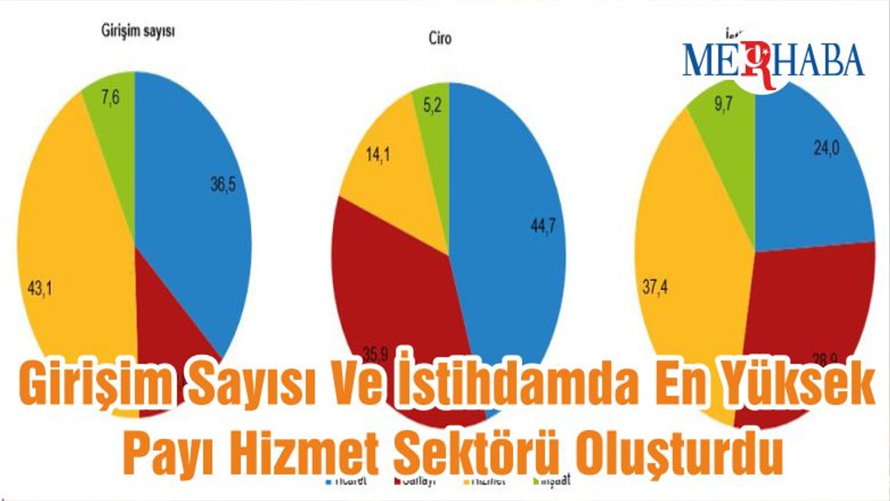 Girişim Sayısı Ve İstihdamda En Yüksek Payı Hizmet Sektörü Oluşturdu
