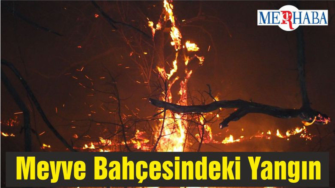 Meyve Bahçesindeki Yangın