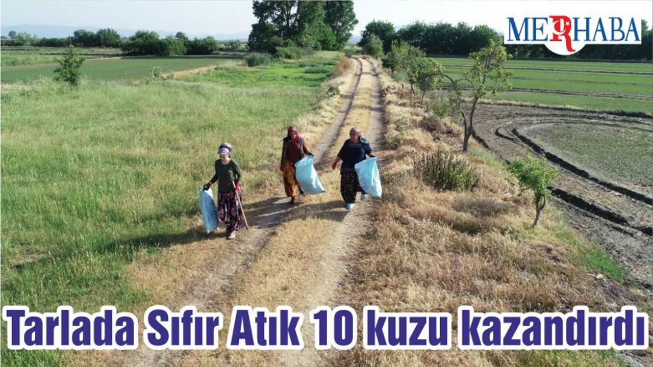 Tarlada Sıfır Atık 10 kuzu kazandırdı