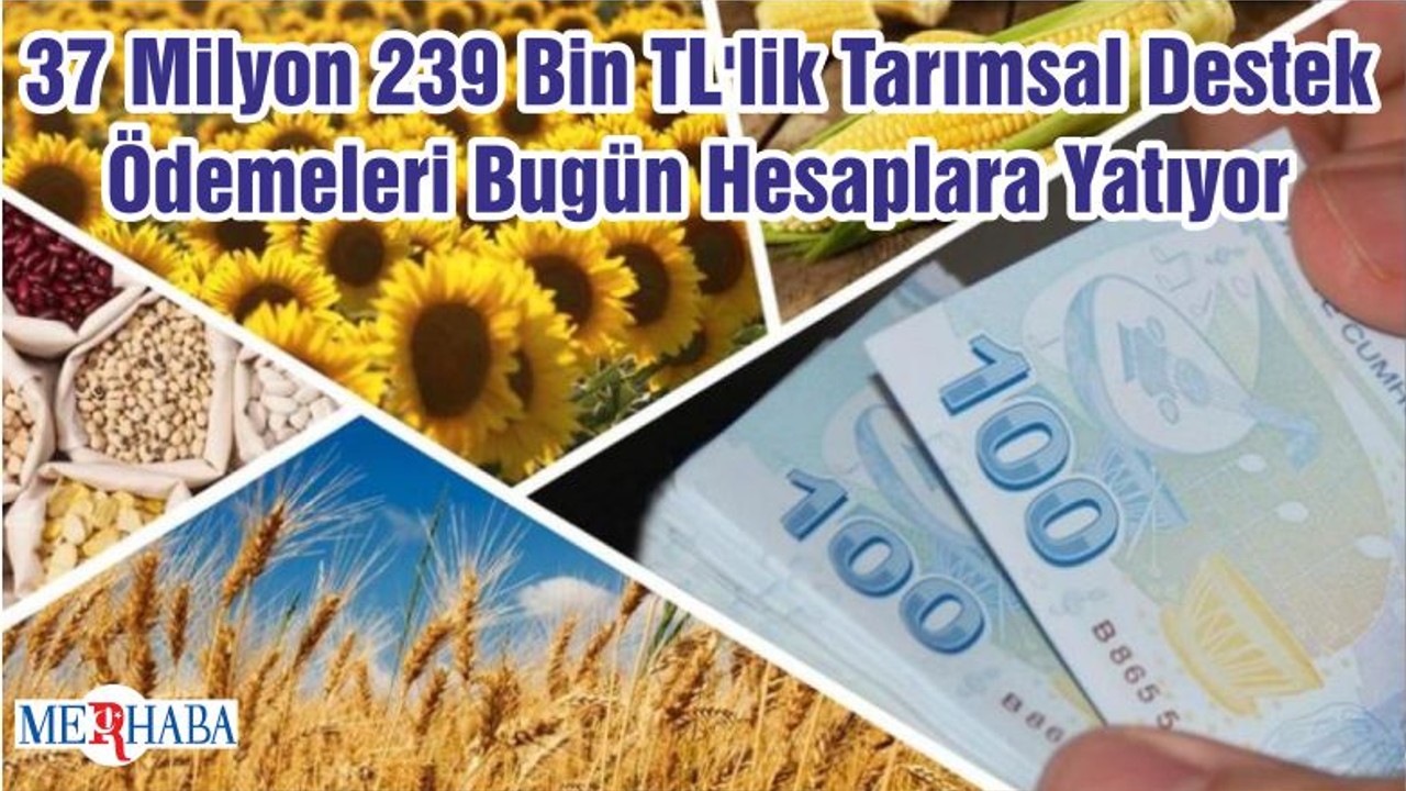 37 Milyon 239 Bin TL'lik Tarımsal Destek Ödemeleri Bugün Hesaplara Yatıyor
