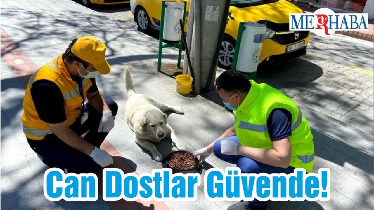 Can Dostlar Güvende!