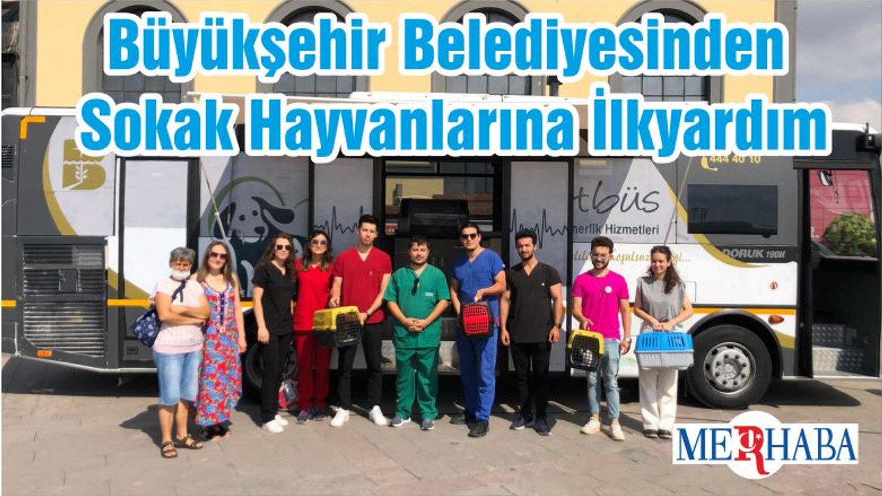 Büyükşehir Belediyesinden Sokak Hayvanlarına İlkyardım