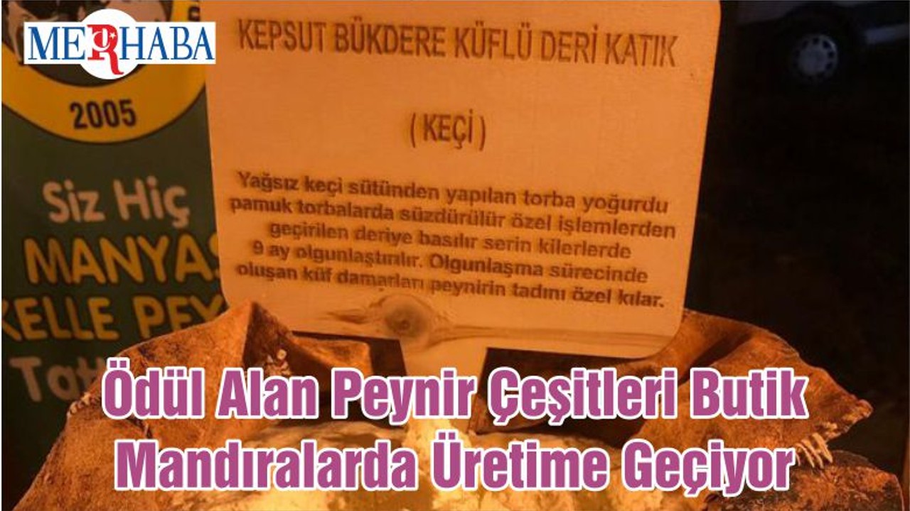Ödül Alan Peynir Çeşitleri Butik Mandıralarda Üretime Geçiyor