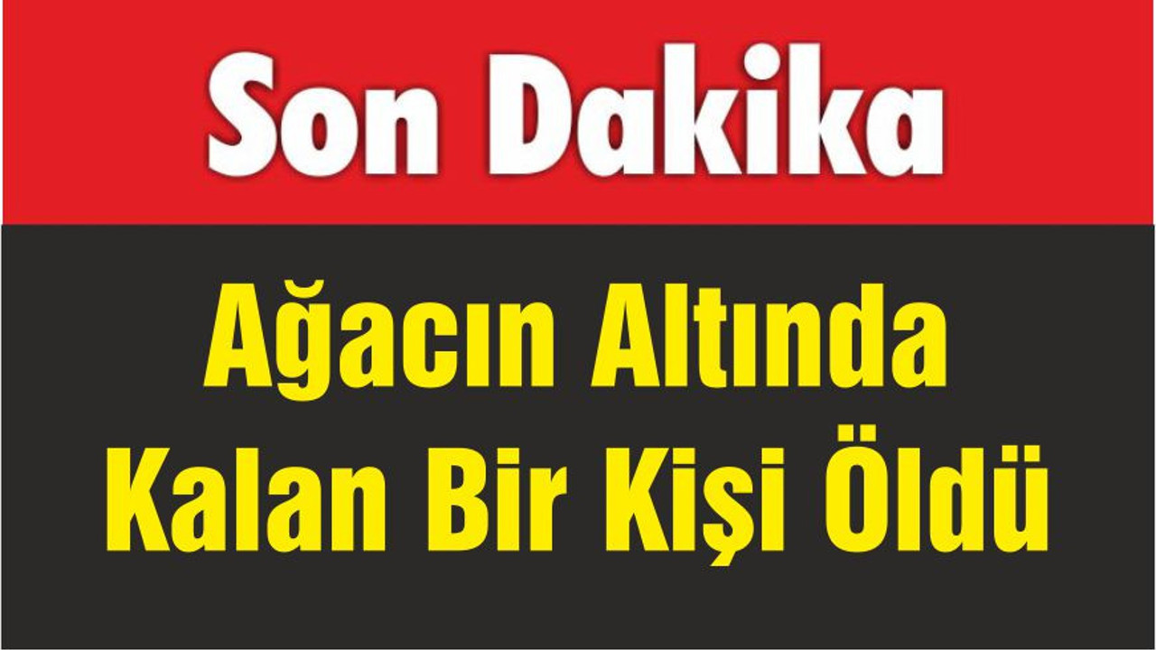 Balıkesir'de Ağacın Altında Kalan Bir Kişi Öldü