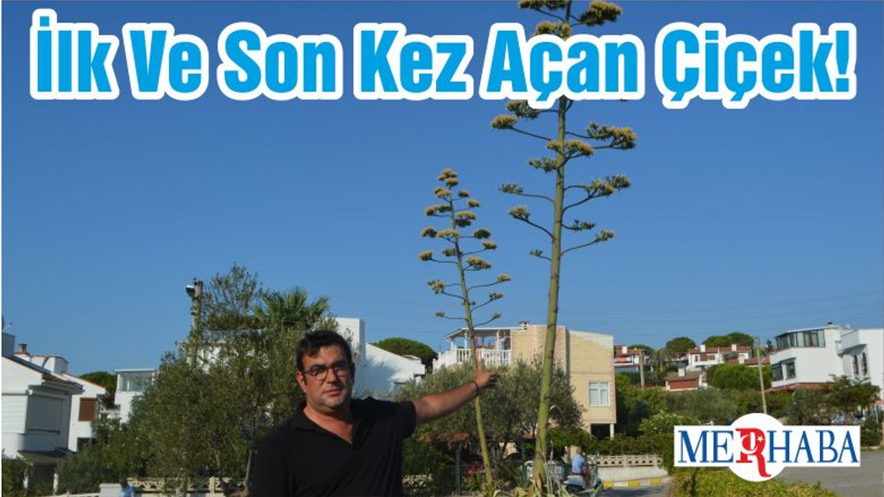 İlk Ve Son Kez Açan Çiçek!