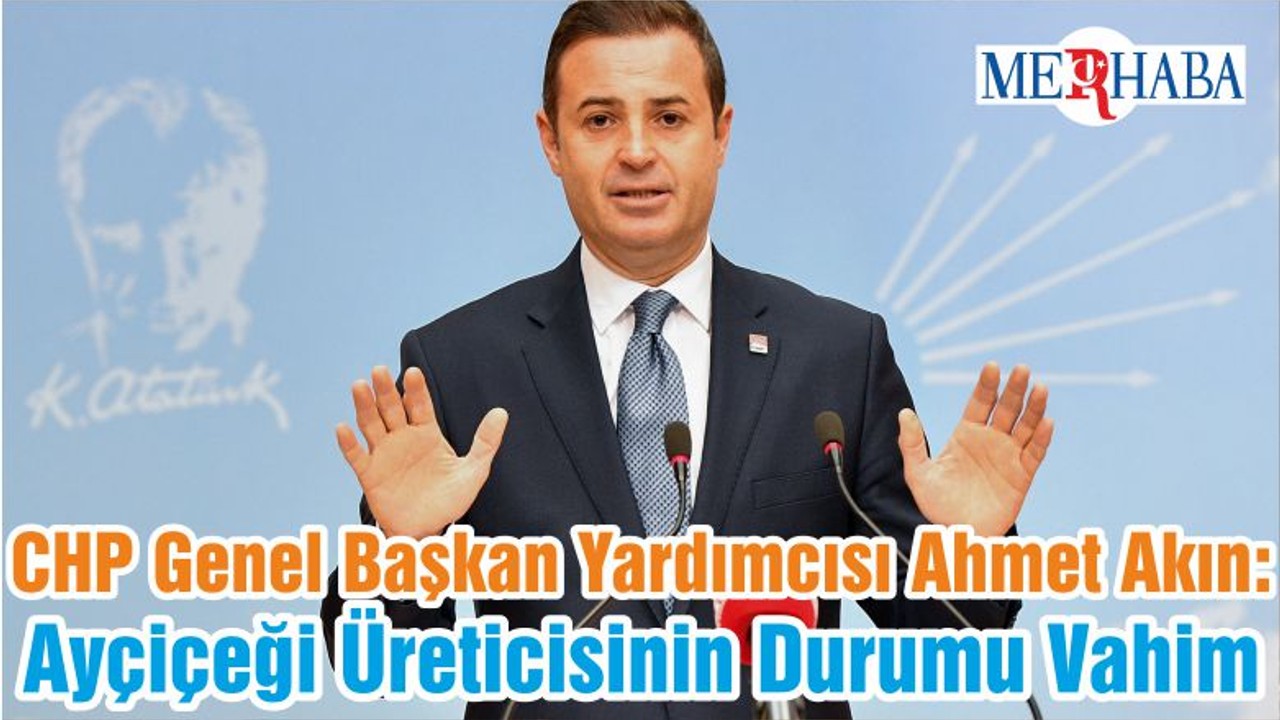 CHP Genel Başkan Yardımcısı Ahmet Akın: Ayçiçeği Üreticisinin Durumu Vahim