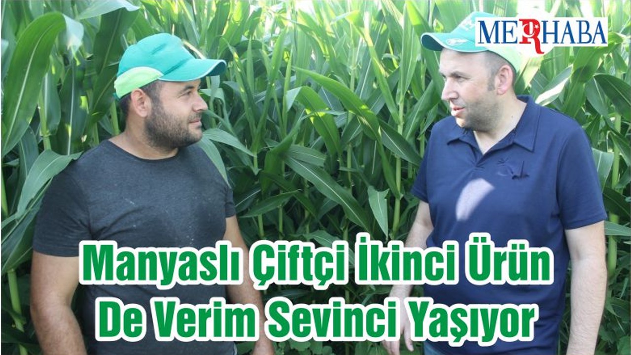 Manyaslı Çiftçi İkinci Ürün De Verim Sevinci Yaşıyor