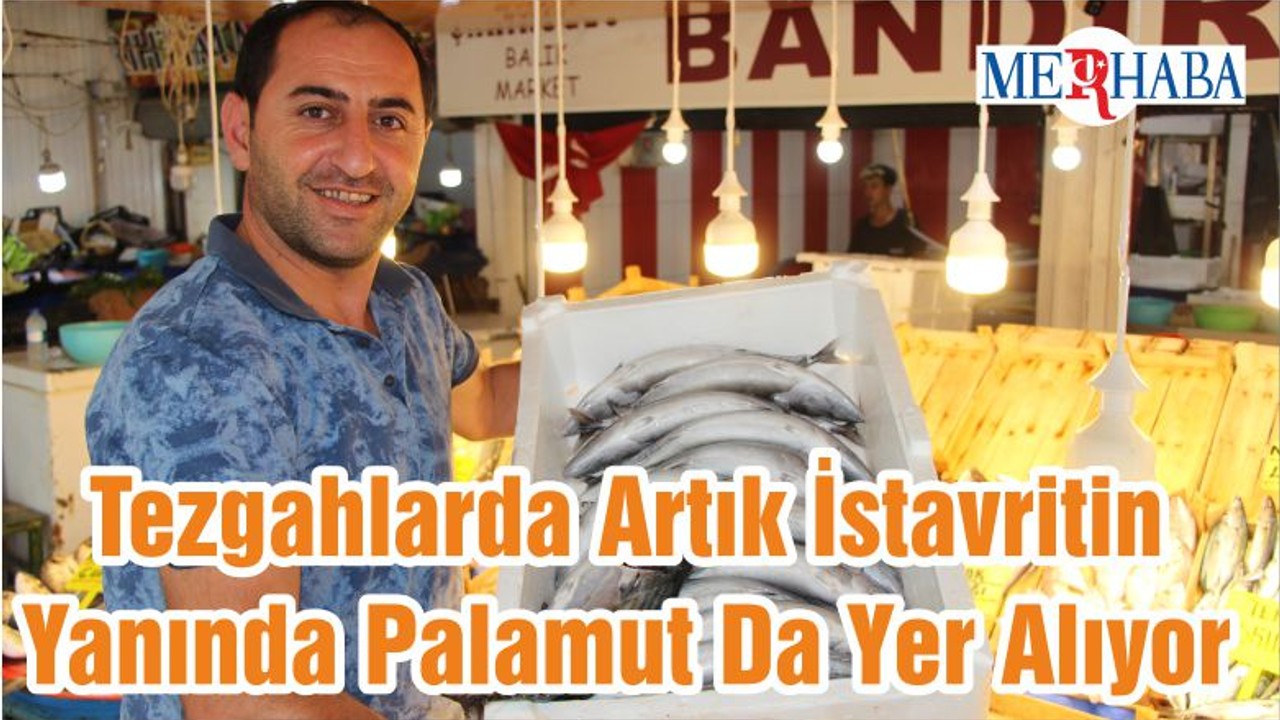 Tezgahlarda Artık İstavritin Yanında Palamut Da Yer Alıyor