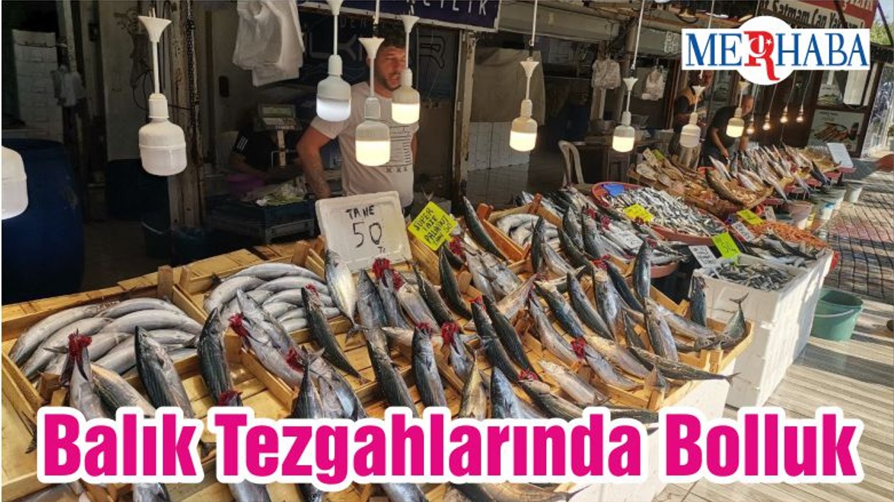 Balık Tezgahlarında Bolluk
