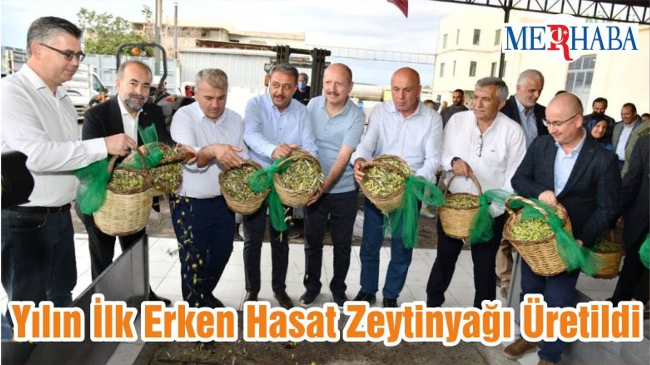 Yılın İlk Erken Hasat Zeytinyağı Üretildi