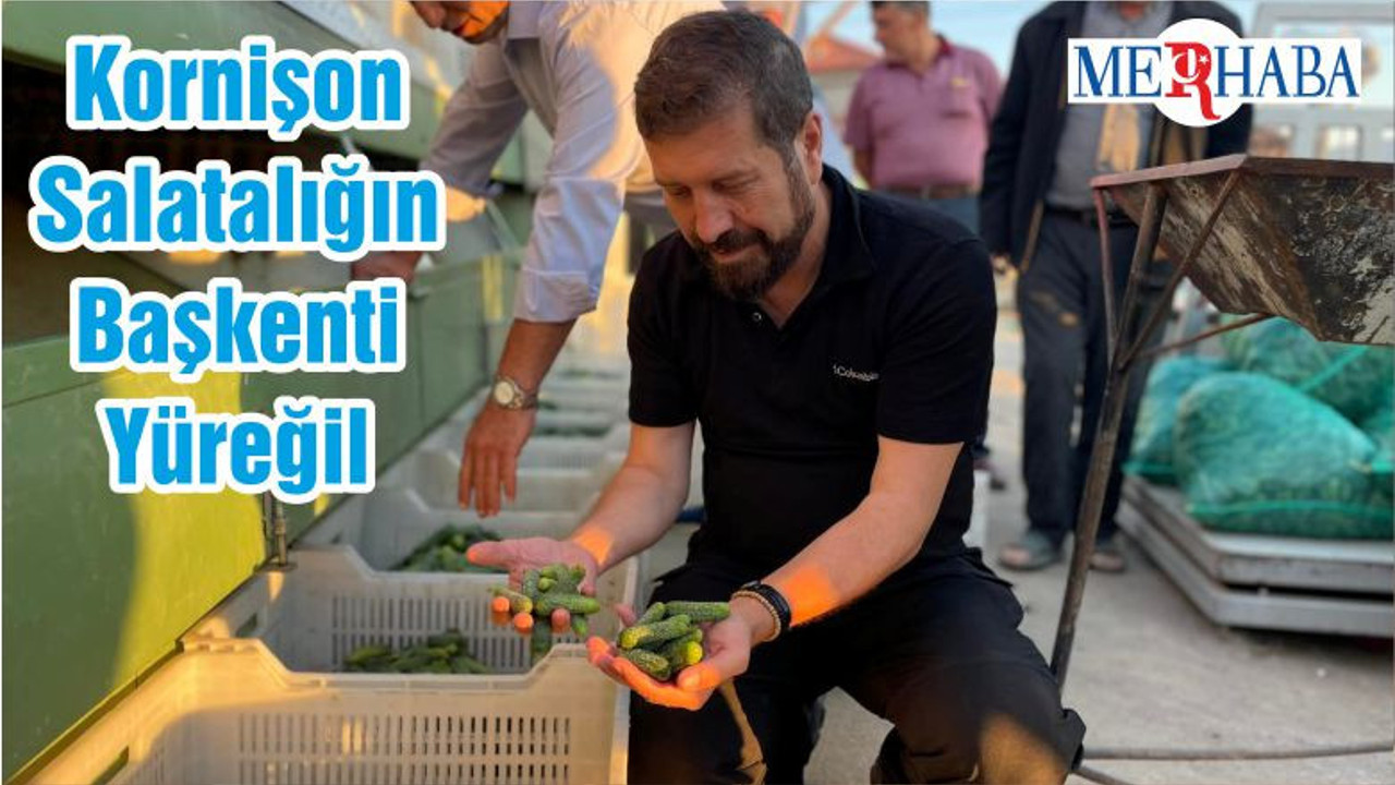 Sındırgı Belediye Başkanı Ekrem Yavaş: Kornişon Salatalığın Başkenti Yüreğil