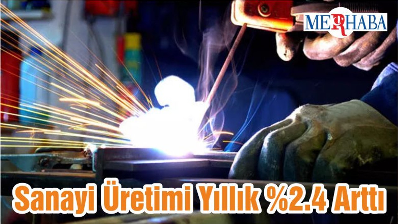 Sanayi Üretimi Yıllık %2.4 Arttı