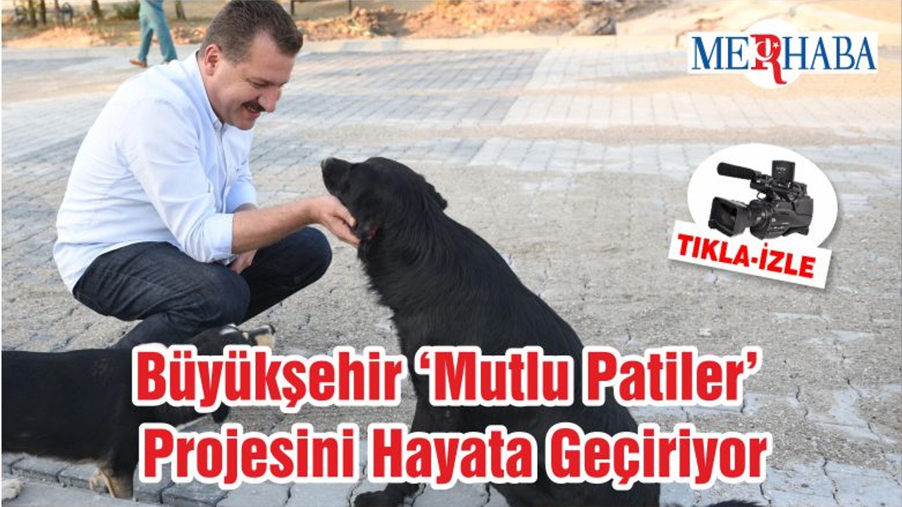 Büyükşehir ‘Mutlu Patiler’ Projesini Hayata Geçiriyor