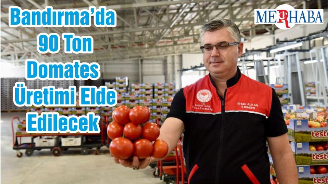 Balıkesir’in Bandırma İlçesinde 90 Ton Domates Üretimi Elde Edilecek
