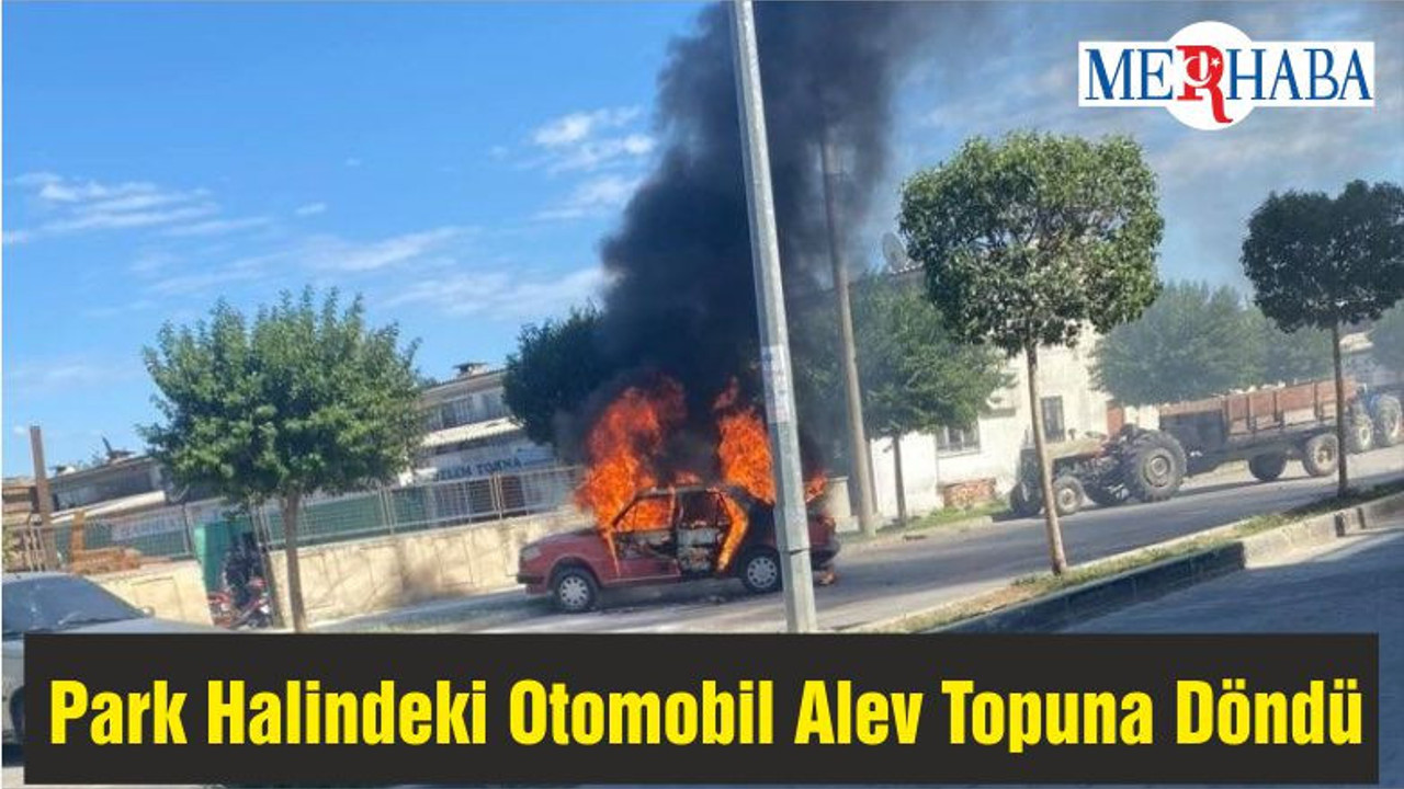 Park Halindeki Otomobil Alev Topuna Döndü
