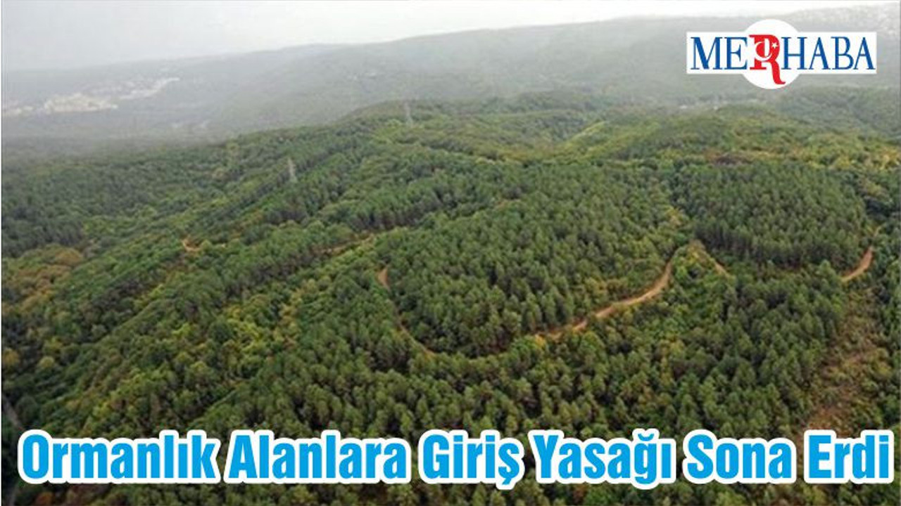 Ormanlık Alanlara Giriş Yasağı Sona Erdi
